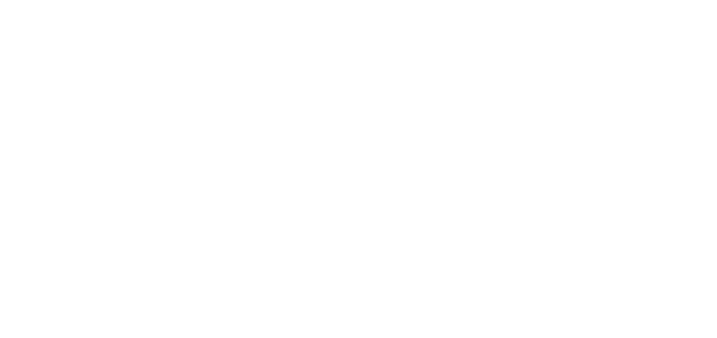 Dr Andrew Salipas